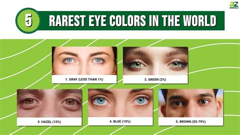 the rarest eye color in the world newsweek|eye colors ranked by rarity.